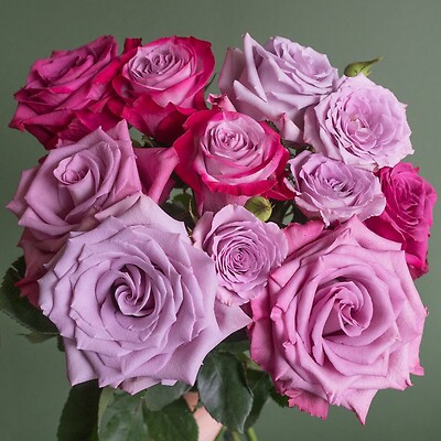 The Lavender Rose Bouquet - 36 Stems